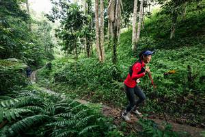 BIB: 
                            <button type="button" onclick="openModal(26410475)" class="btn btn-primary btn-sm float-right btn-popup" data-toggle="modal" data-target=".modal-high-quality">
                        <i class="fas fa-shopping-cart"></i> Add to Cart
                    </button>
                                            <button type="button" onclick="isThisMe(26410475, true)" class="btn btn-success btn-sm float-right btn-popup btn-isme hidden" data-toggle="tooltip" data-placement="bottom" title="นี่คือรูปของคุณใช่ไหม คลิกที่นี่เพื่อเอาเข้าอัลบั้ม">
                        <i class="fas fa-plus"></i> Add to album
                    </button>
                    <button type="button" onclick="isThisMe(26410475, false)" class="btn btn-warning btn-sm float-right btn-popup btn-isnotme hidden">
                        <i class="fas fa-ban"></i> Remove from album
                    </button>